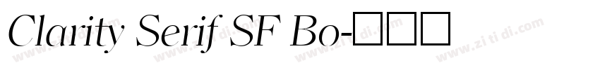 Clarity Serif SF Bo字体转换